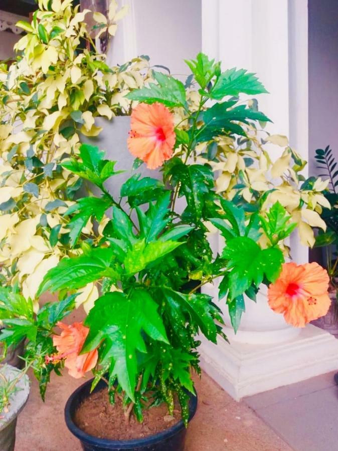 Ettukala Ruslanka Homestay מראה חיצוני תמונה